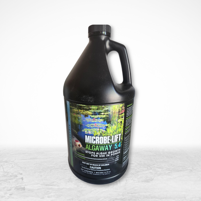 AlgAway 5.4 Algaecide – 1 Gallon