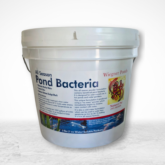 Wiegner Ponds All Season Pond Bacteria – 5 lb Dry Formula